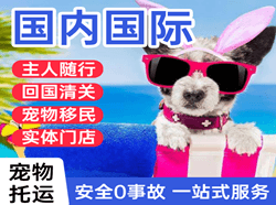 淮安涟水机场邮寄国际宠物托运 【国